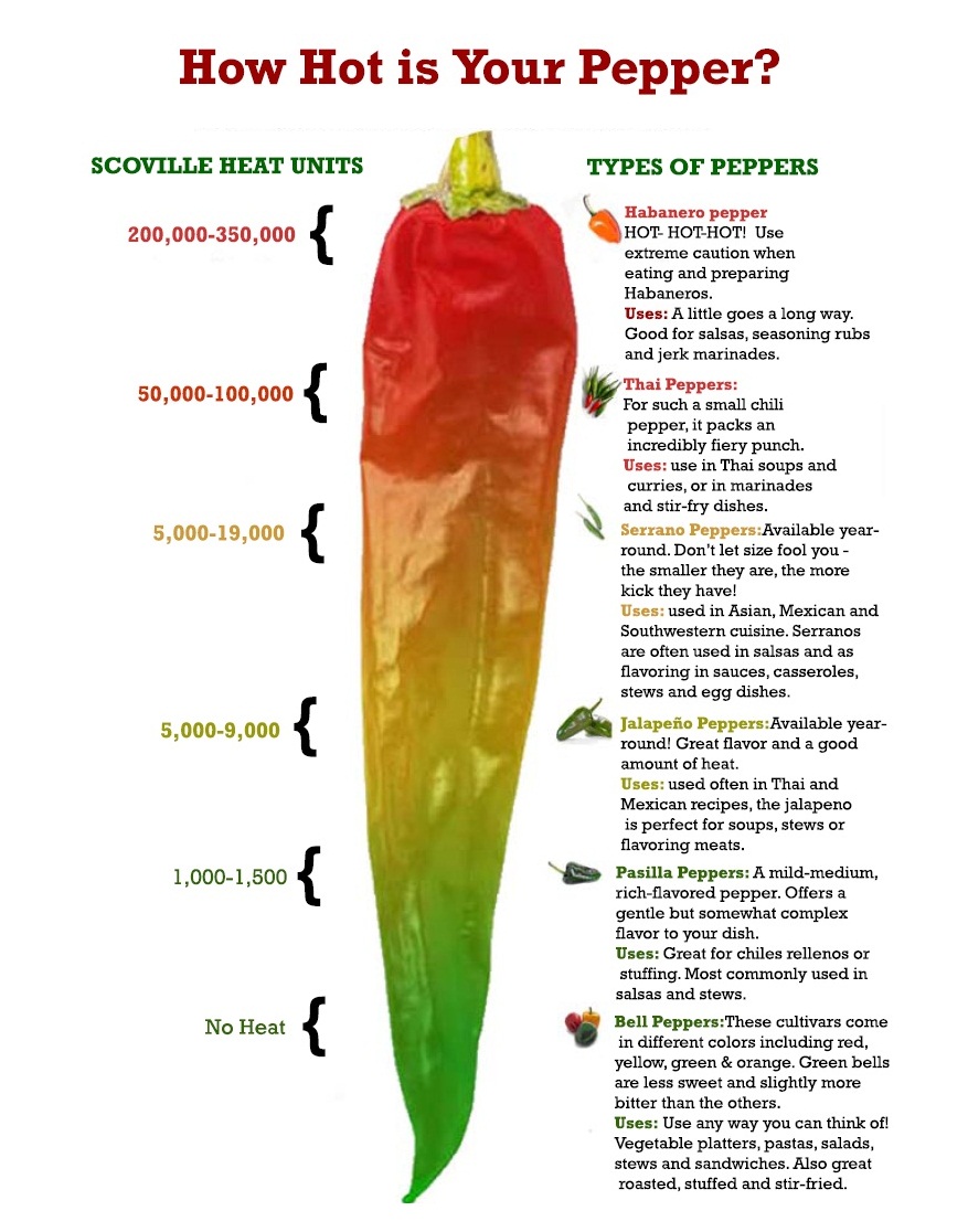 Mexican Chiles Chart